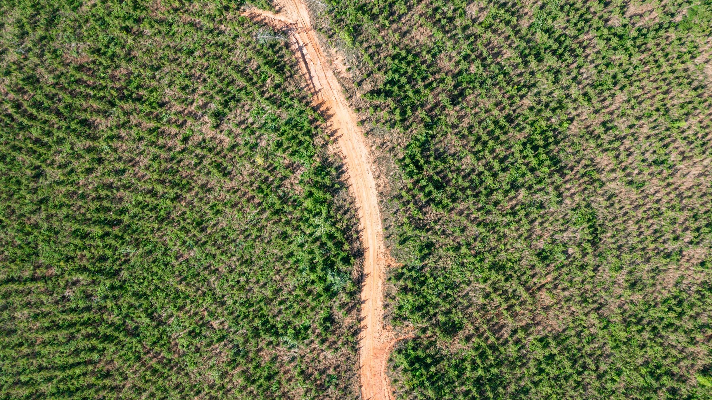 Clear Wood Tract 61 photo 6
