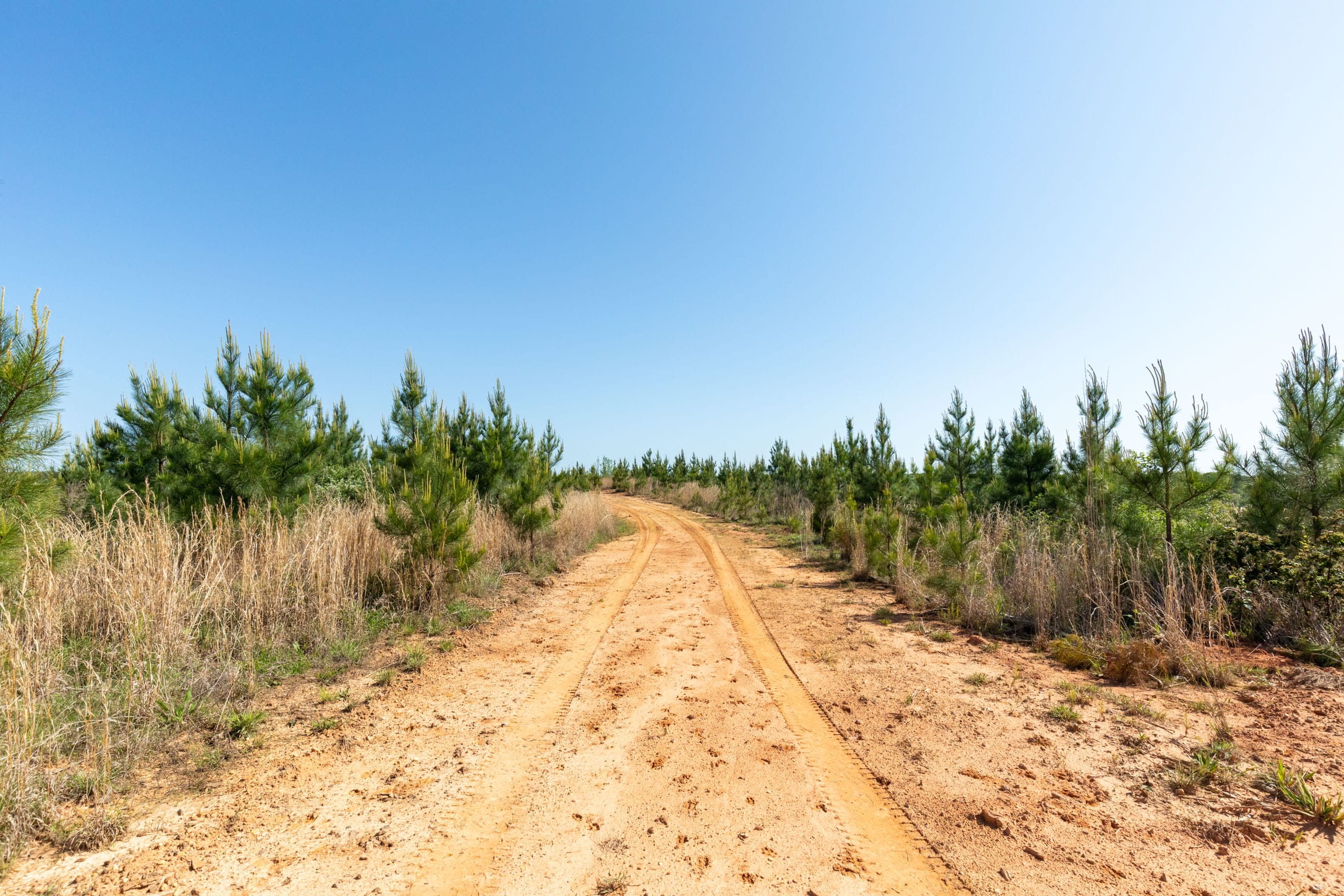 Clear Wood Tract 61 photo 1