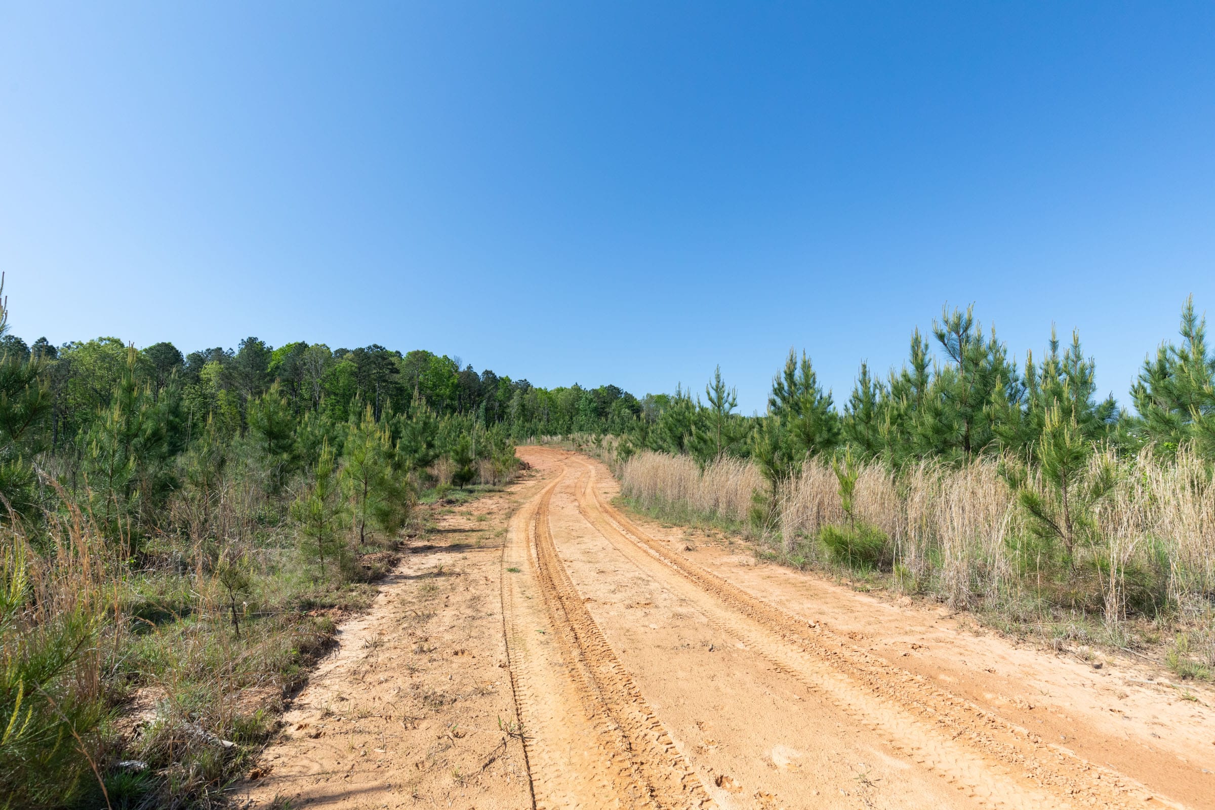 Clear Wood Tract 61 photo 13