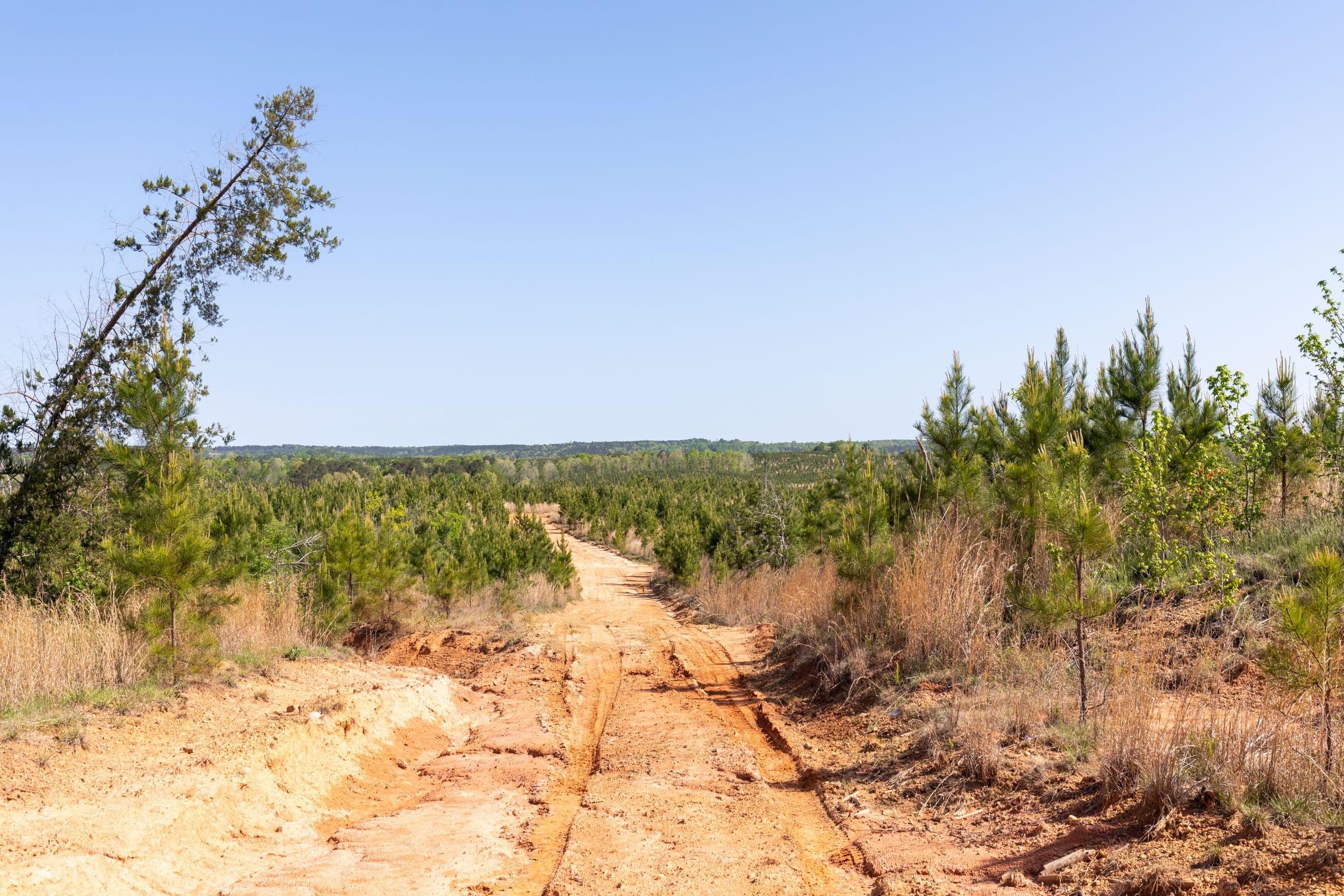 Clear Wood Tract 61 photo 15