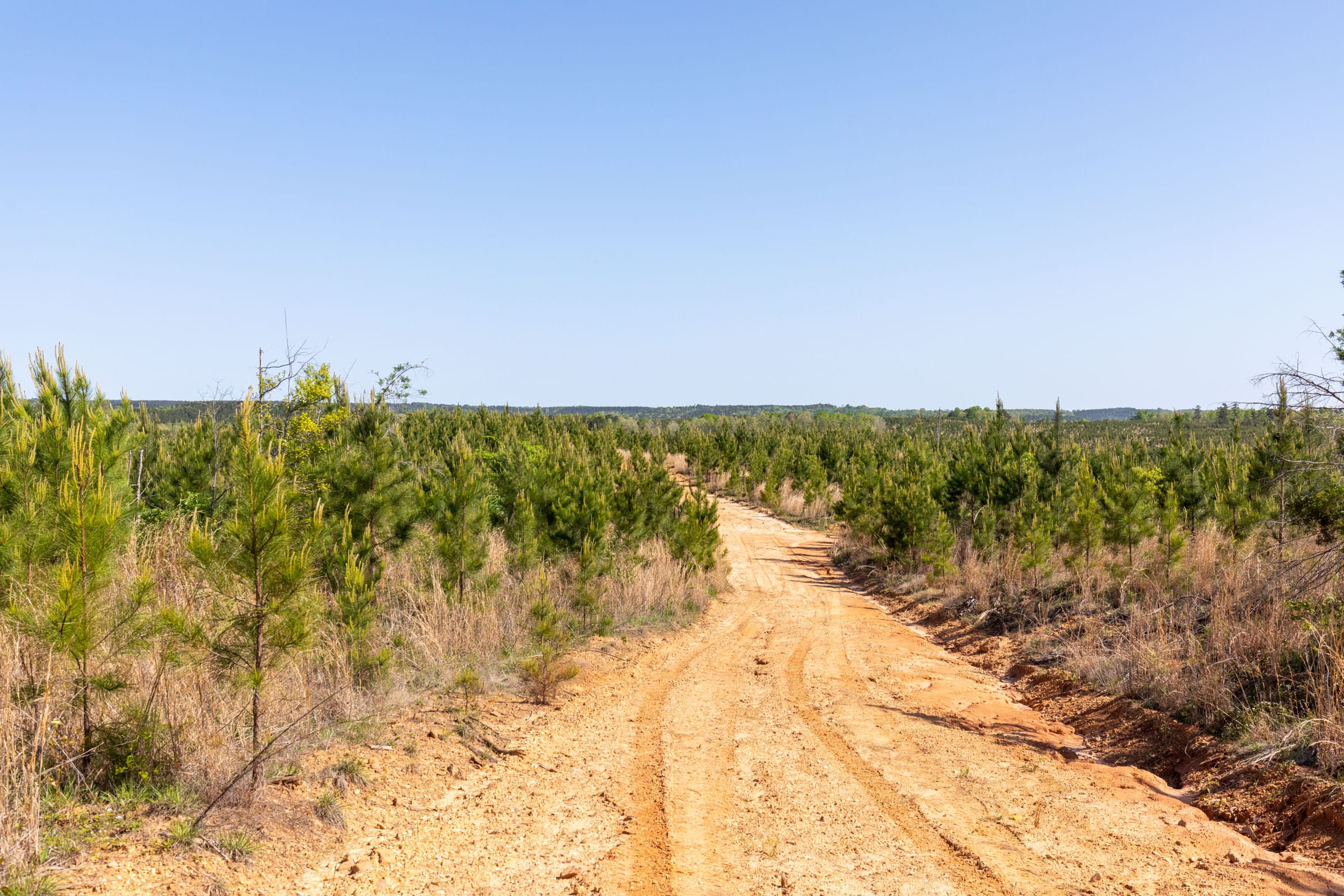 Clear Wood Tract 61 photo 17