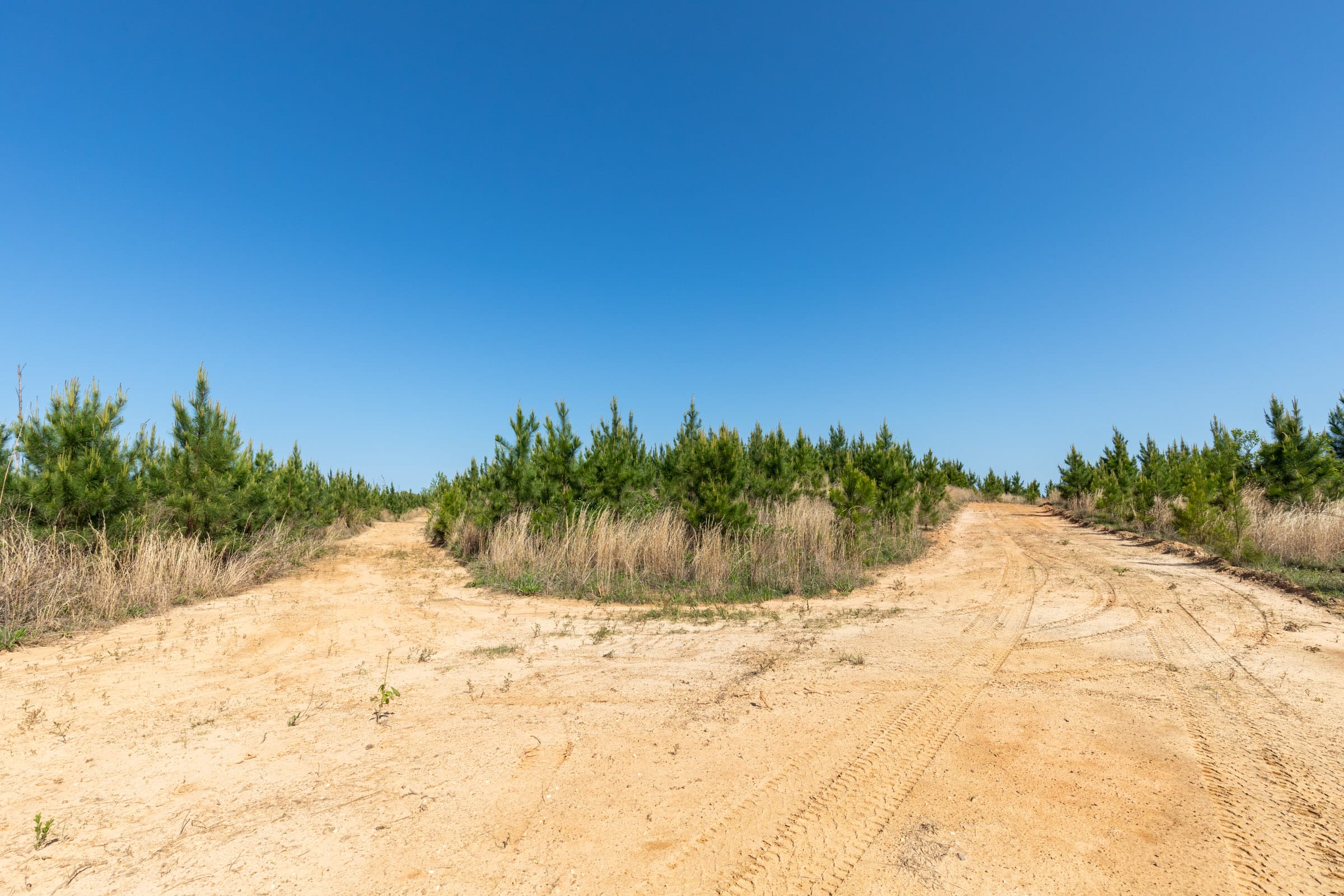 Clear Wood Tract 61 photo 22