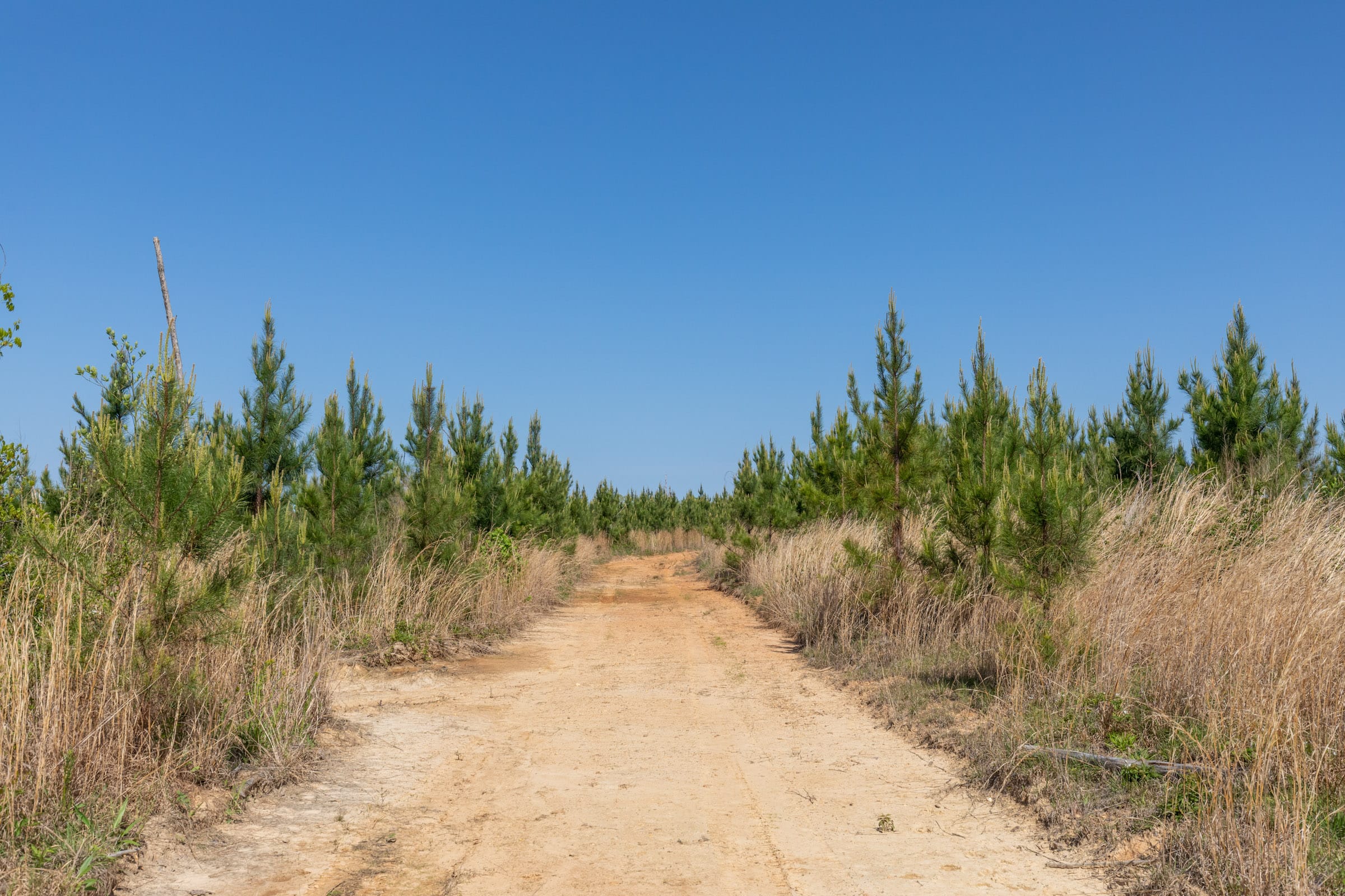 Clear Wood Tract 61 photo 31