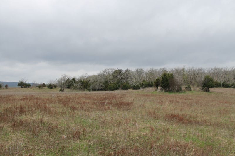 Daisy Meadows Tract 2 photo 3