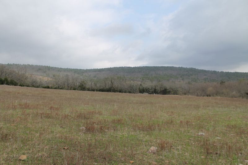 Daisy Meadows Tract 2 photo 4