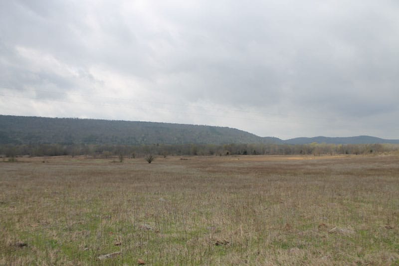 Daisy Meadows Tract 2 photo 5