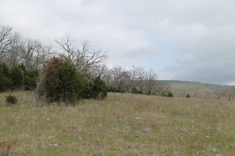 Daisy Meadows Tract 2 photo 6