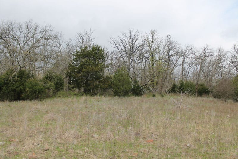 Daisy Meadows Tract 2 photo 7