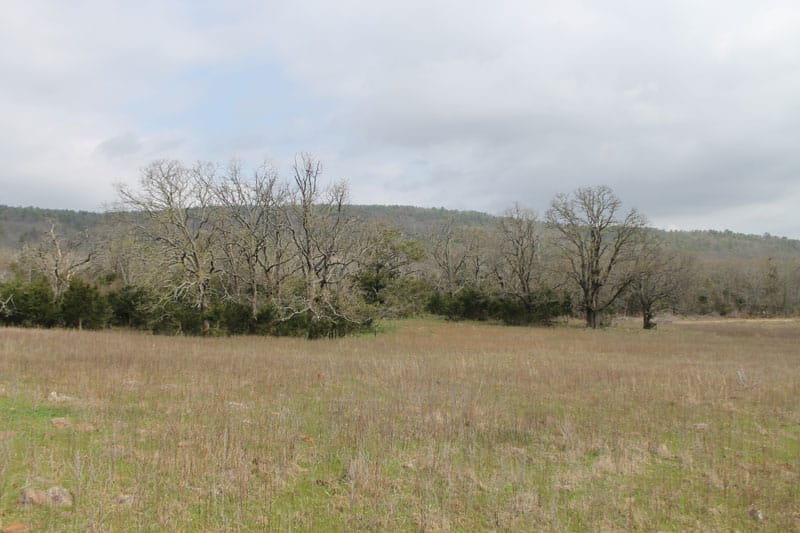 Daisy Meadows Tract 2 photo 8
