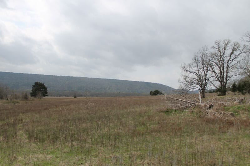 Daisy Meadows Tract 2 photo 9