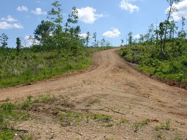 Antler Ridge Tract 24 photo 3