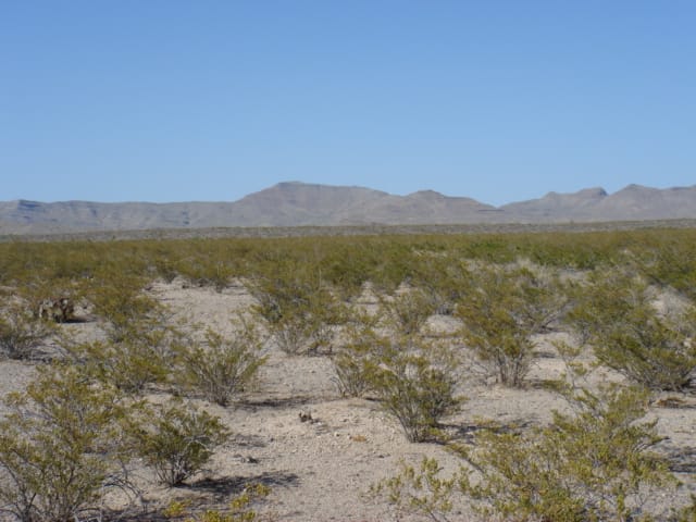 El Paso Ranches Tract 3 photo 15