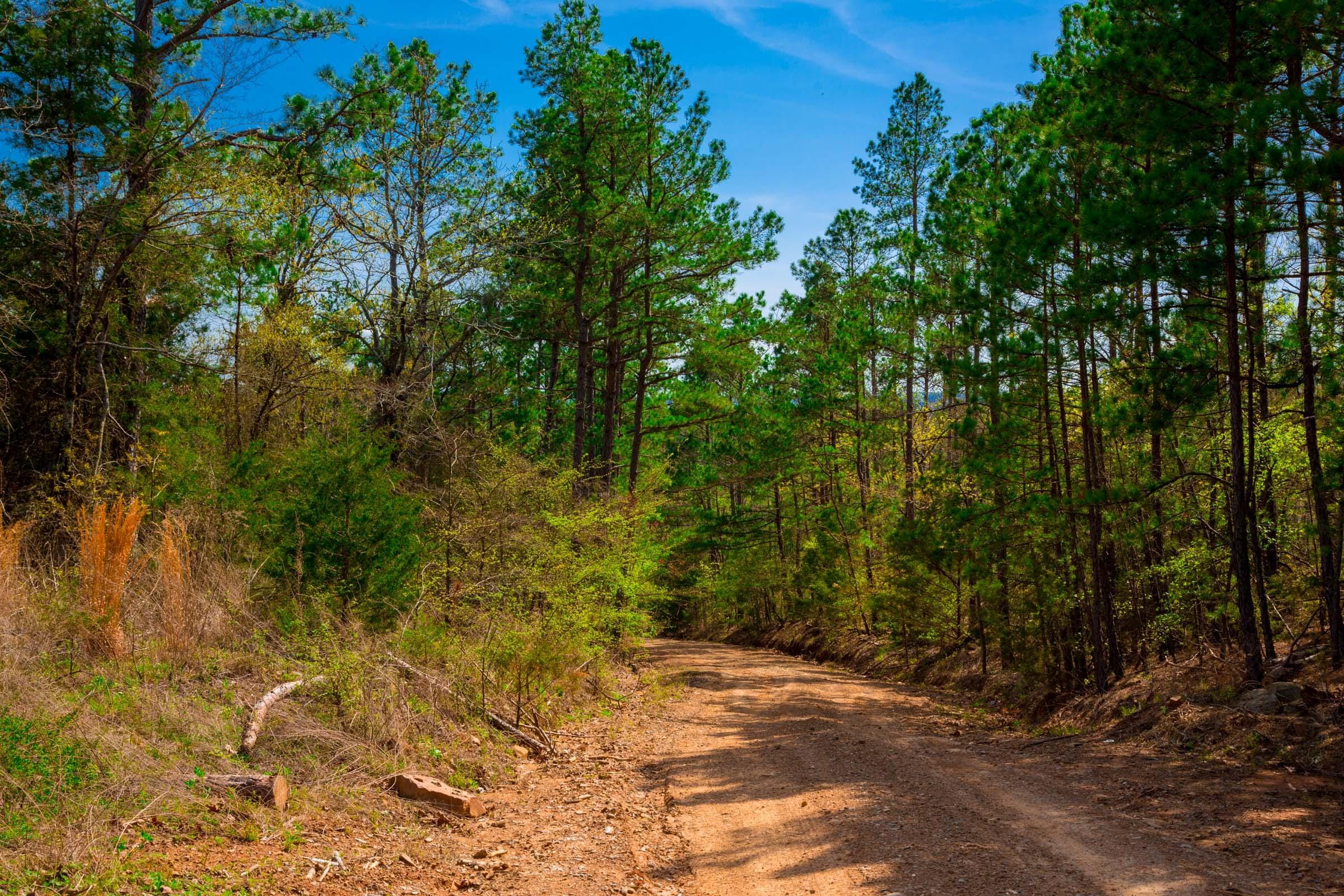 Stone Creek Phase II Tract 259 photo 3