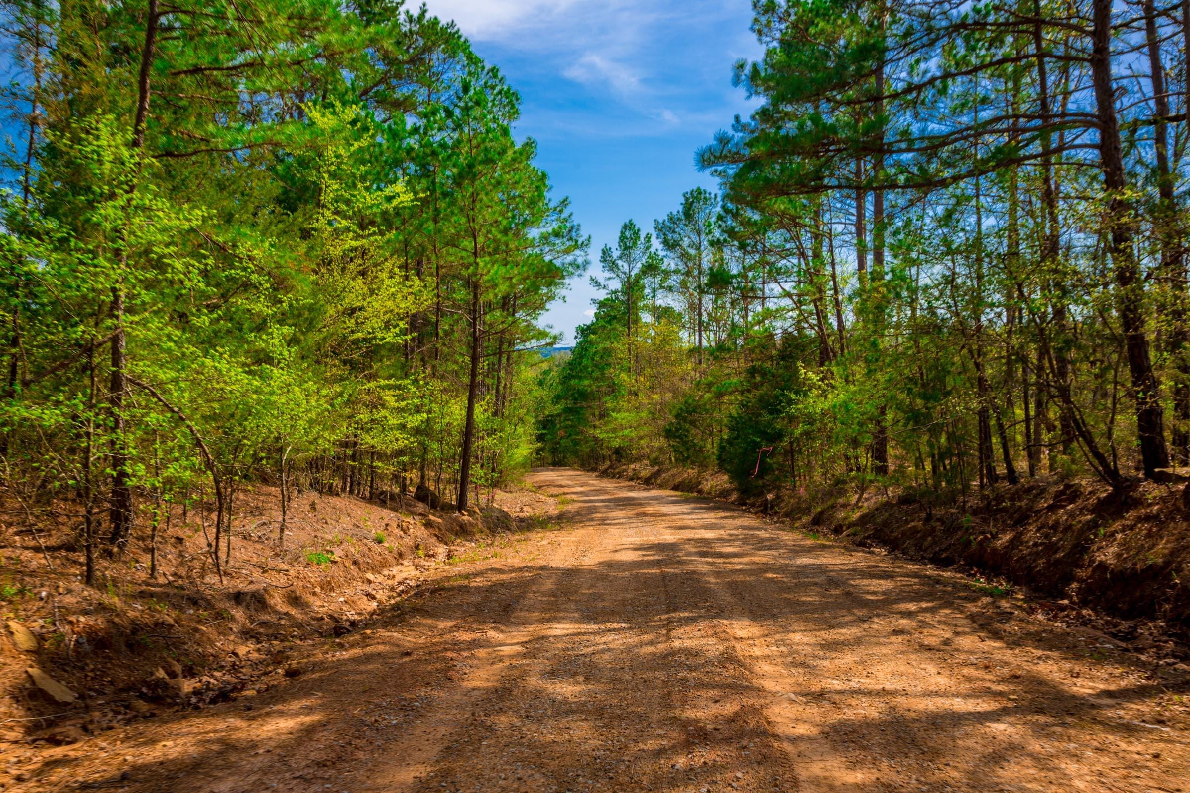 Stone Creek Phase II Tract 259 photo 4