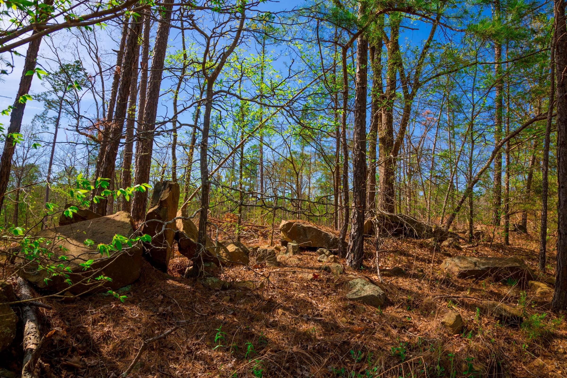 Stone Creek Phase II Tract 259 photo 5