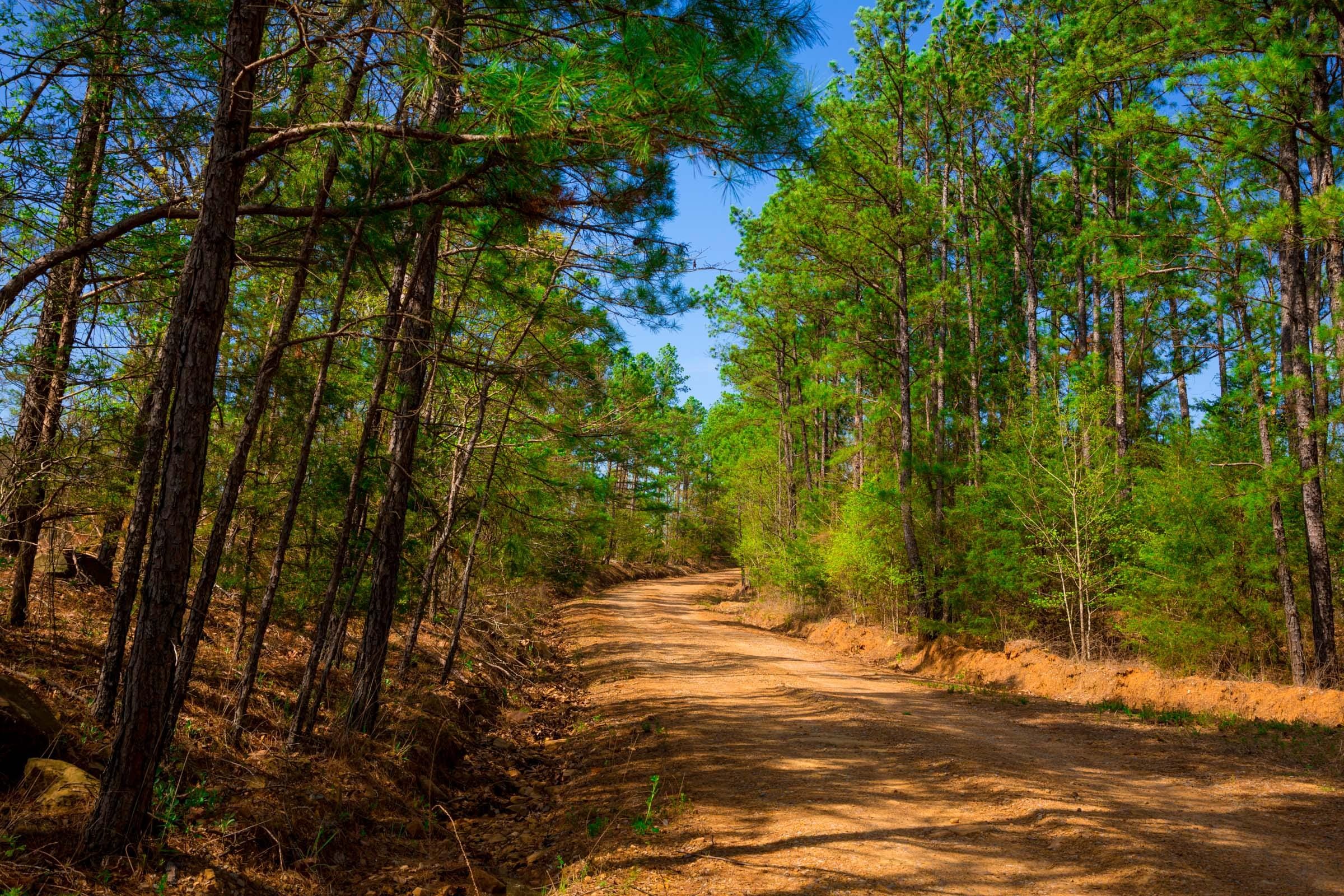 Stone Creek Phase II Tract 259 photo 6