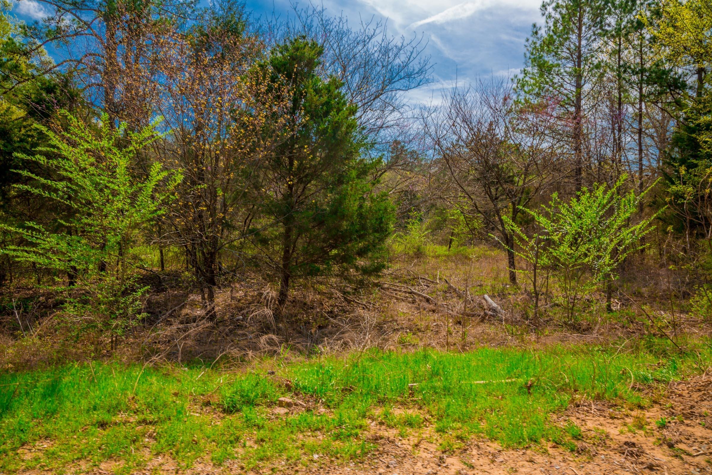 Stone Creek Phase II Tract 259 photo 10