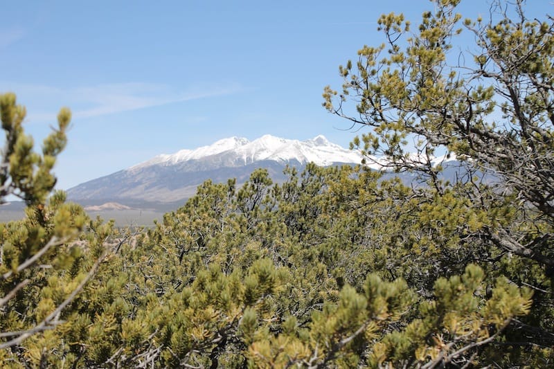 Sangre De Cristo Ranches Tract 959 photo 4