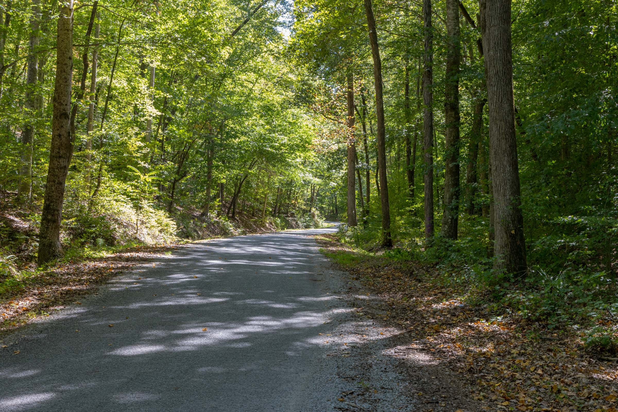 Big White Oak Tract 25 photo 8