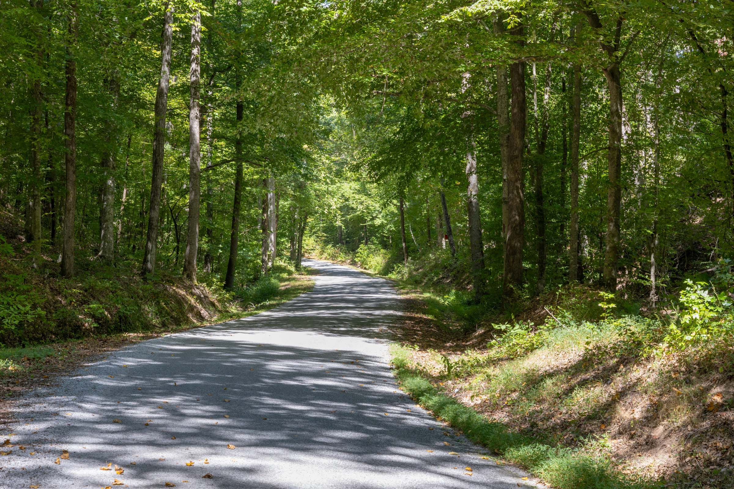 Big White Oak Tract 25 photo 1