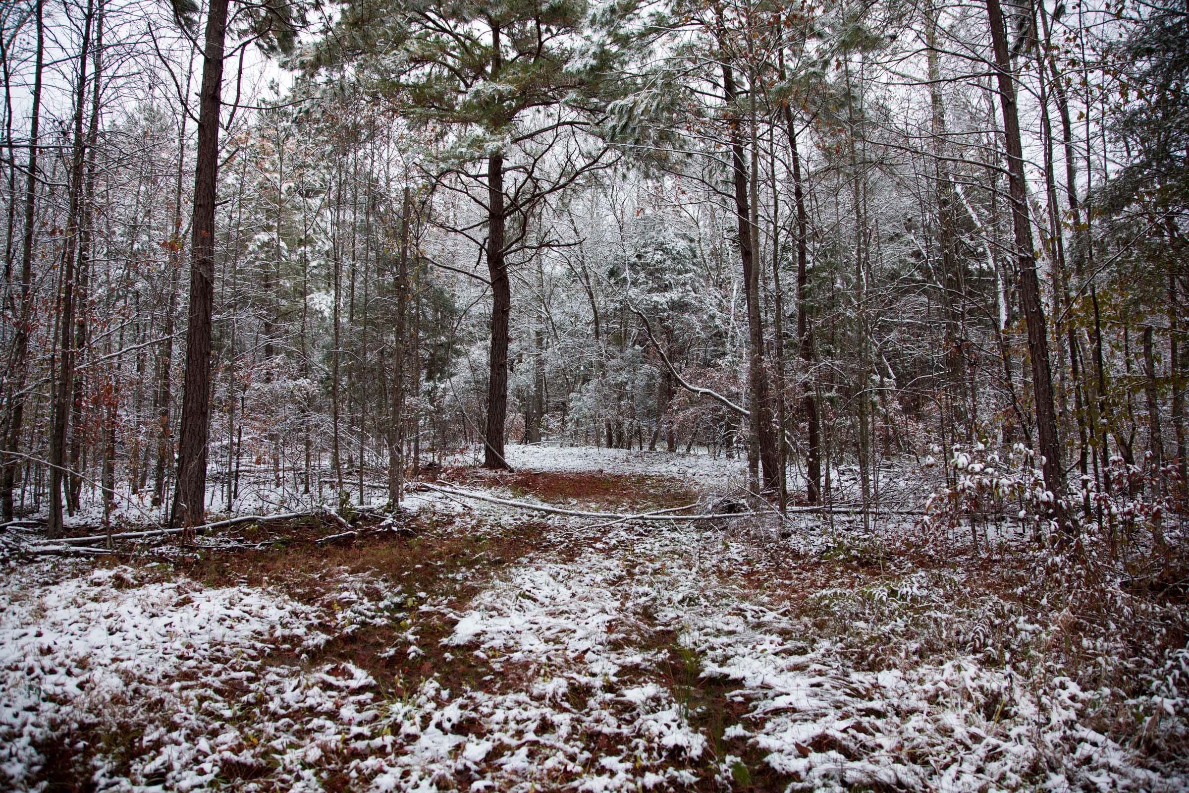 Sweet Water Ranch Tract 22 photo 3