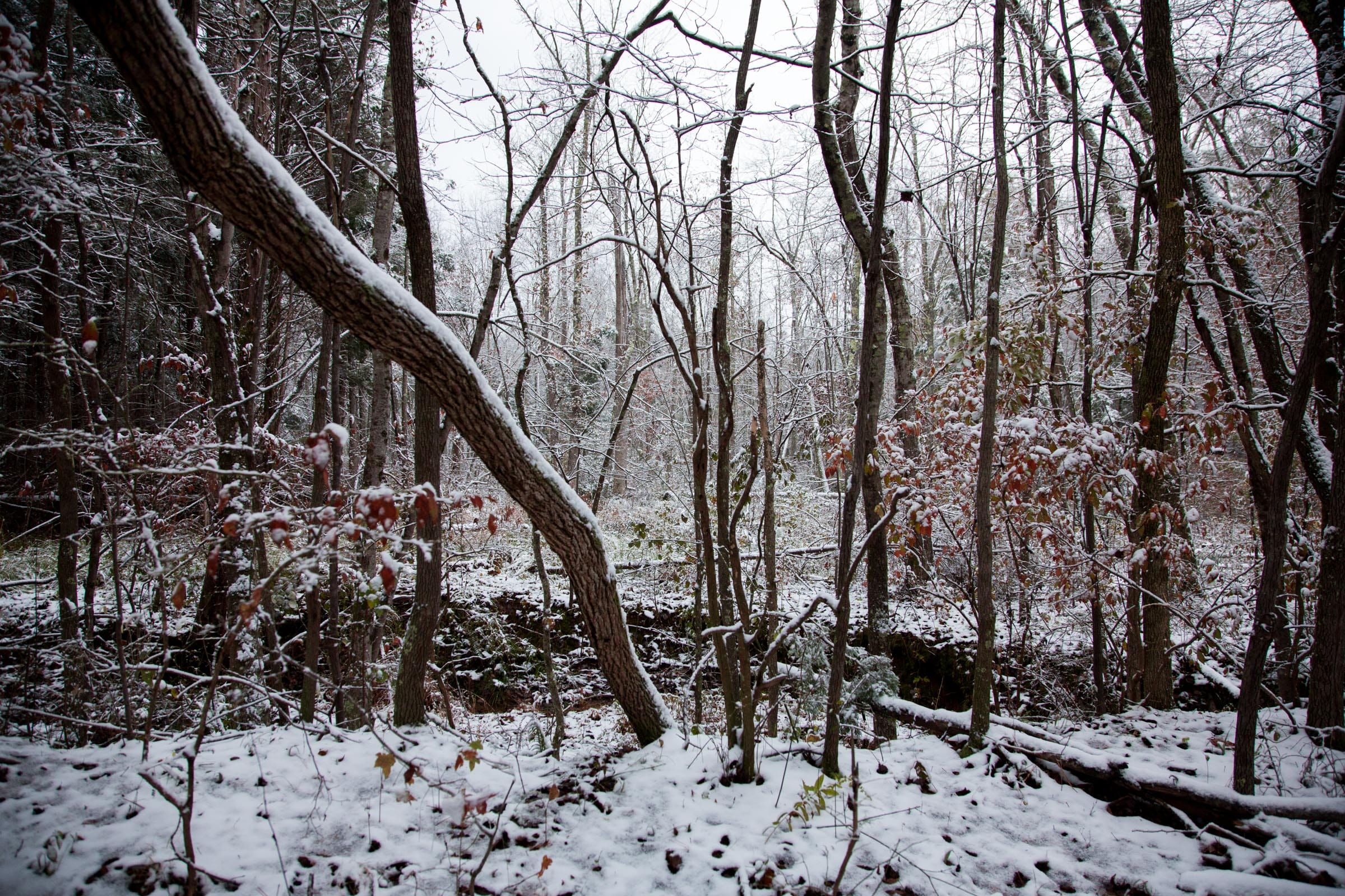 Sweet Water Ranch Tract 22 photo 4