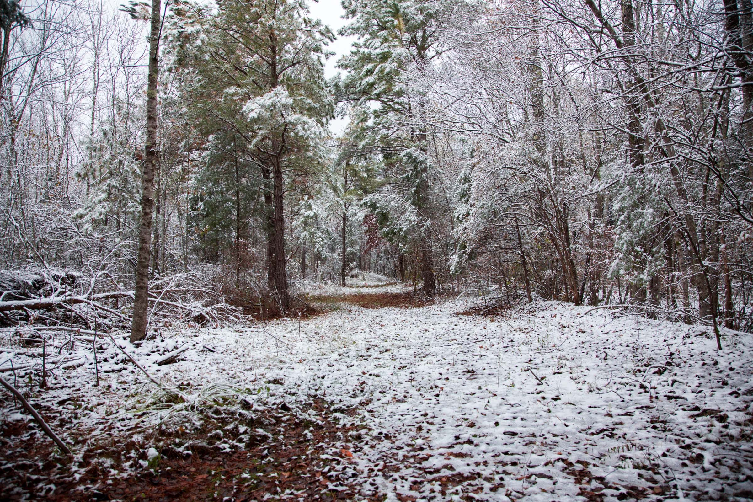 Sweet Water Ranch Tract 22 photo 5
