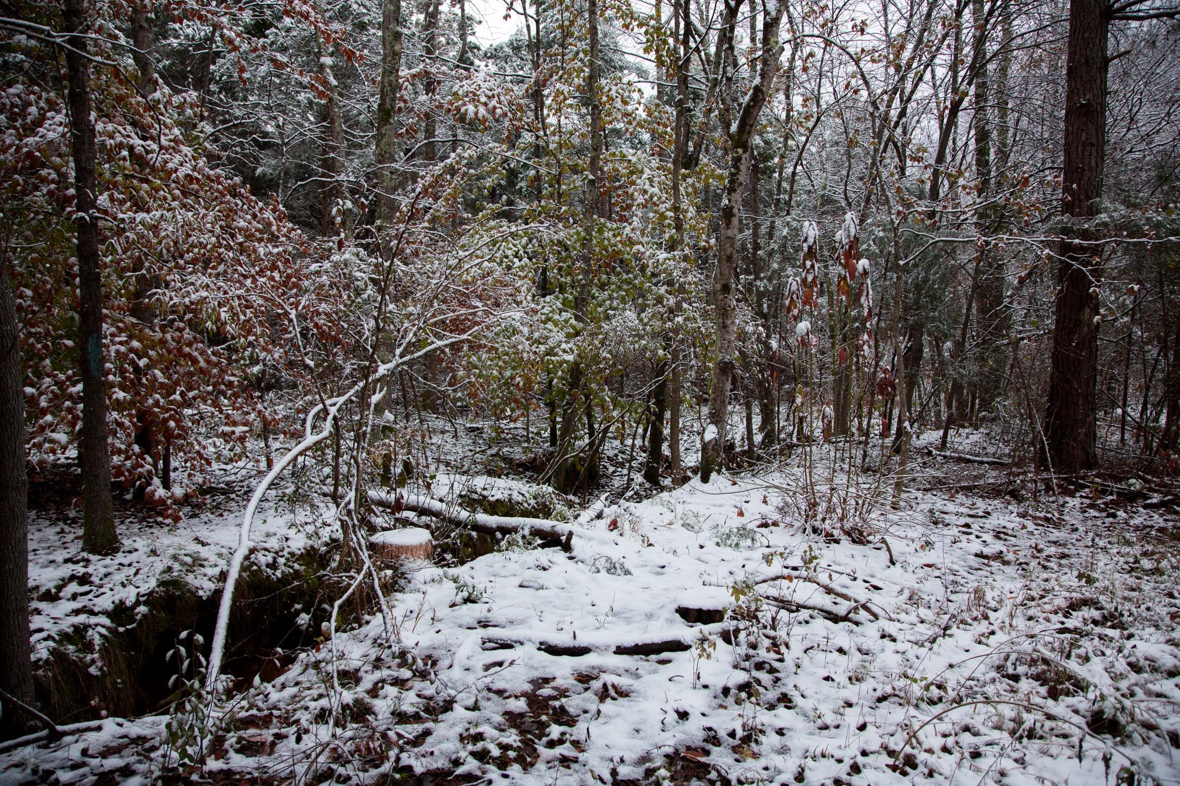 Sweet Water Ranch Tract 22 photo 6