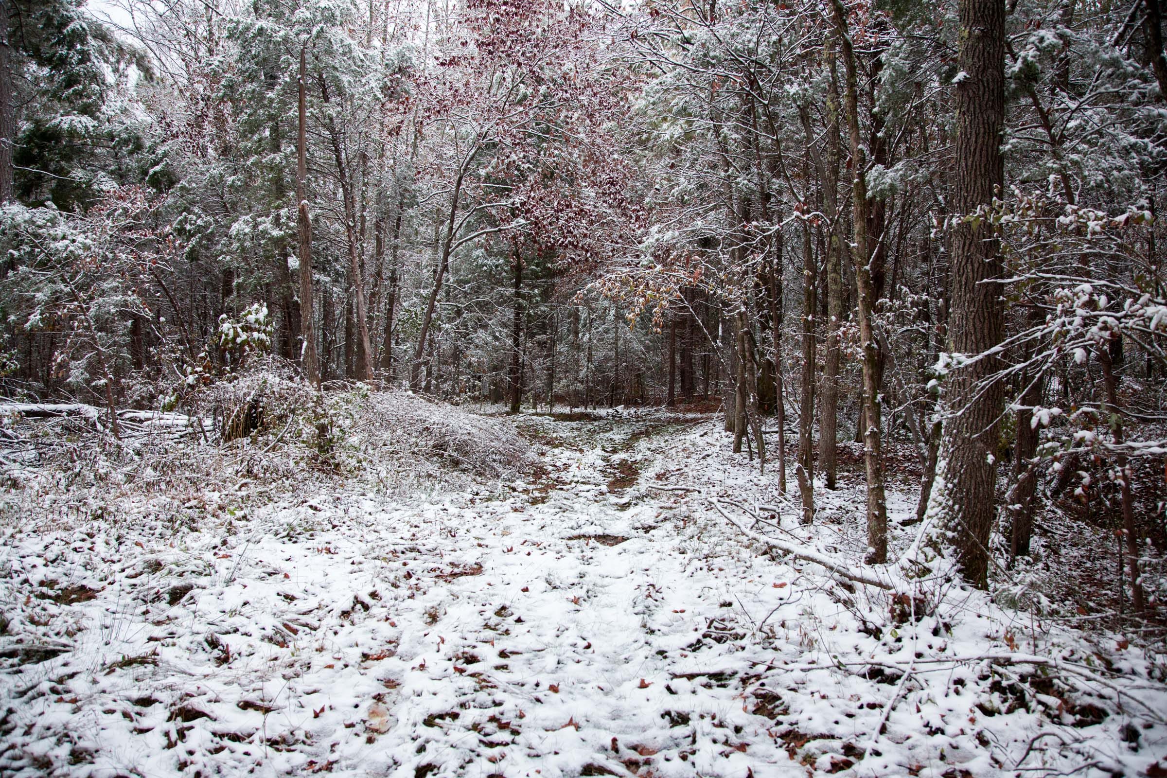 Sweet Water Ranch Tract 22 photo 8