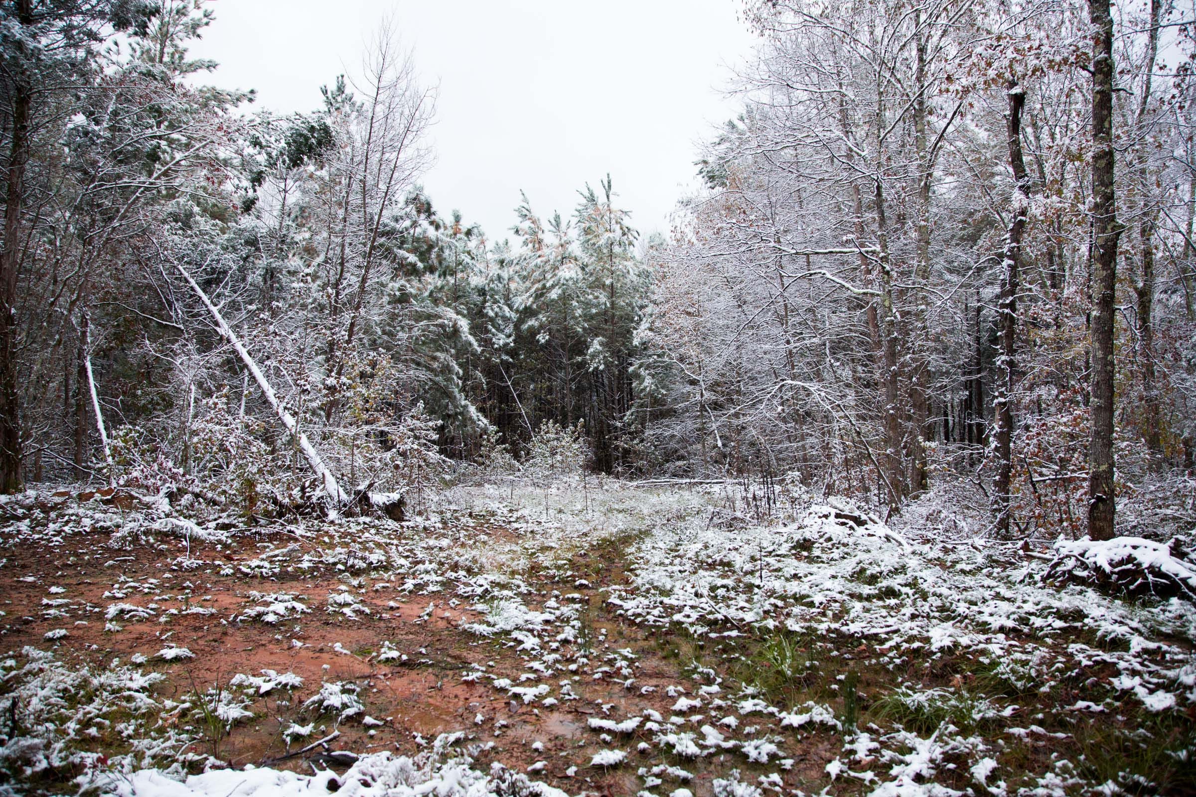 Sweet Water Ranch Tract 22 photo 13