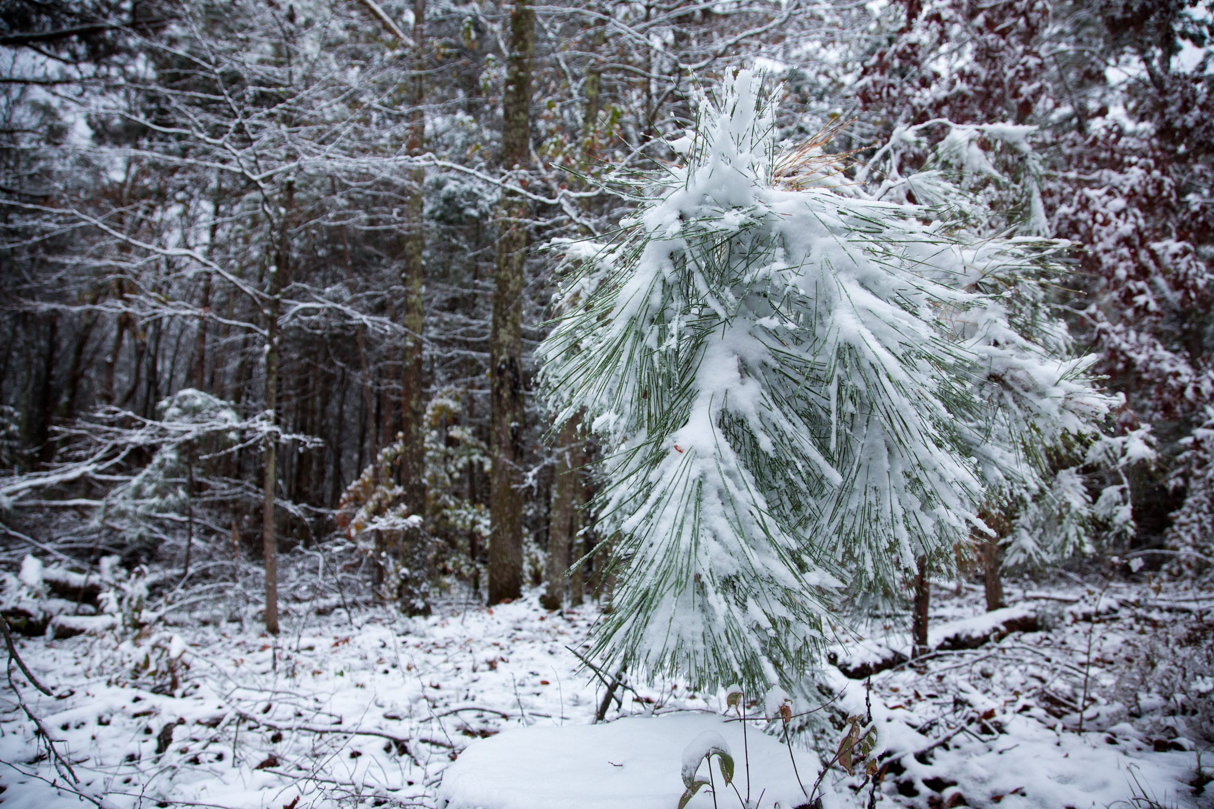 Sweet Water Ranch Tract 22 photo 15