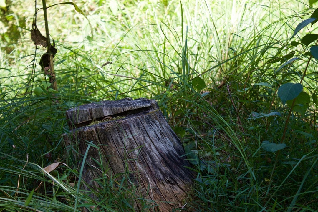 Heritage Hollow Tract 17 photo 4