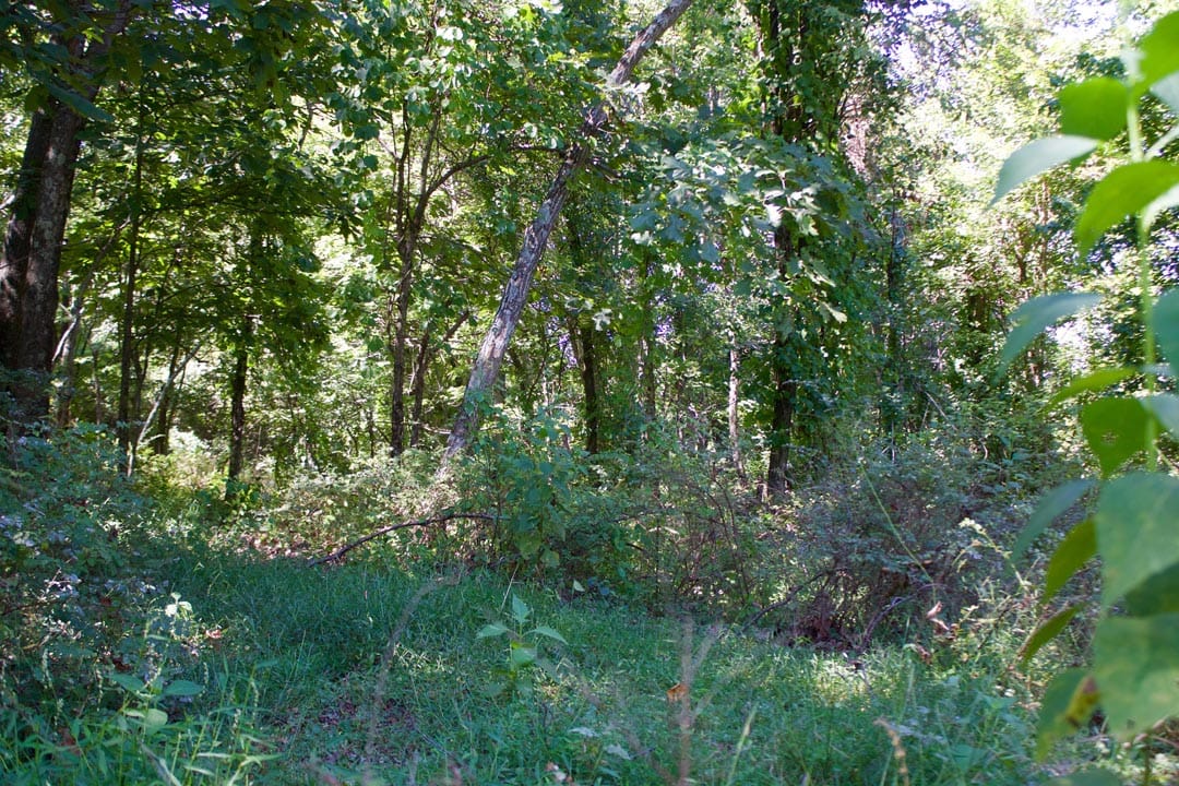 Heritage Hollow Tract 17 photo 5