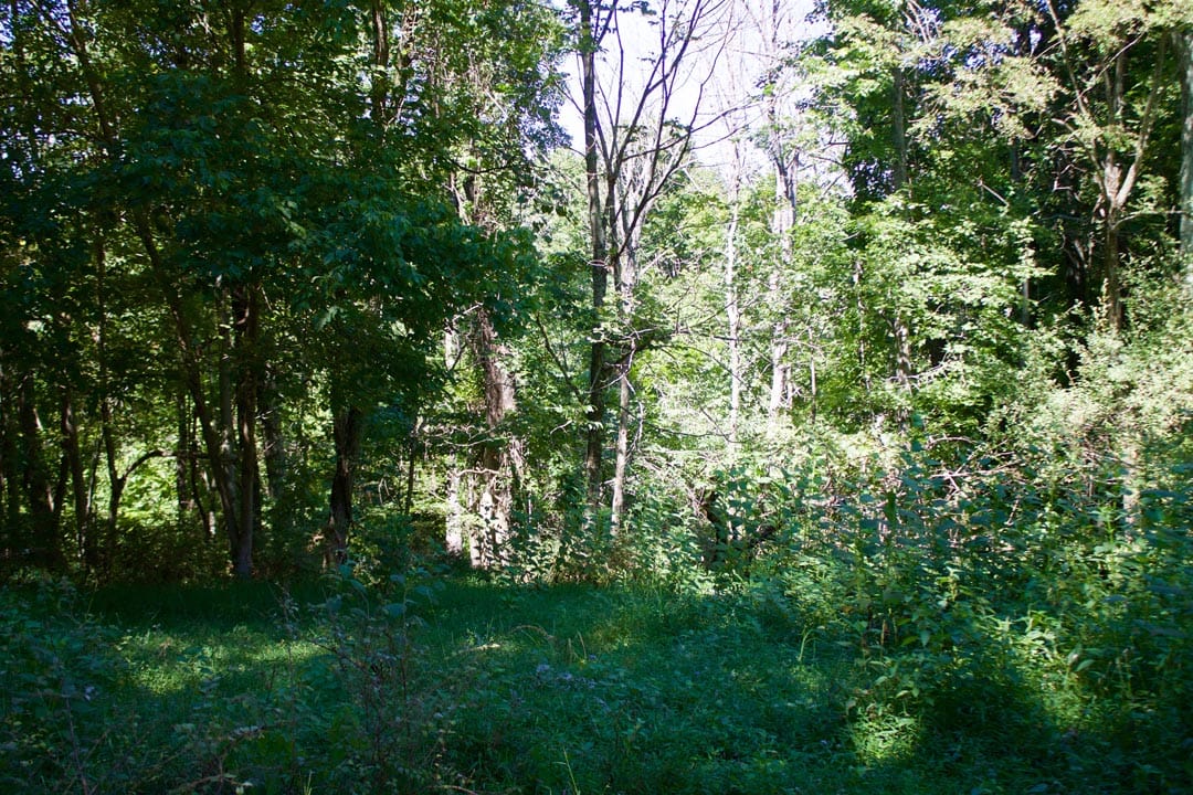 Heritage Hollow Tract 17 photo 6