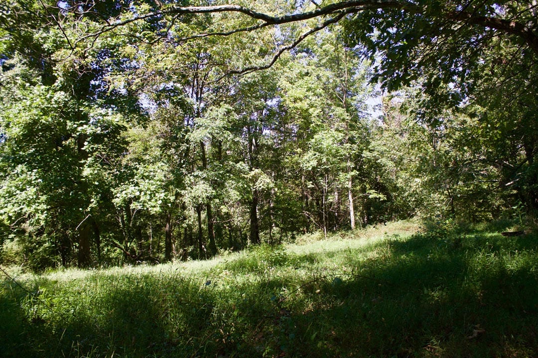 Heritage Hollow Tract 17 photo 10