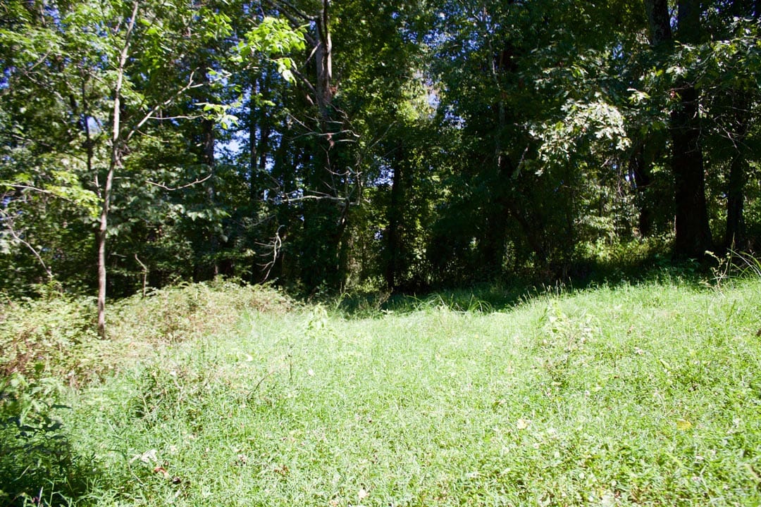 Heritage Hollow Tract 17 photo 15