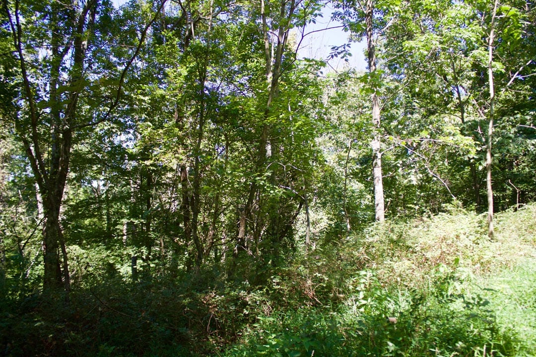 Heritage Hollow Tract 17 photo 16