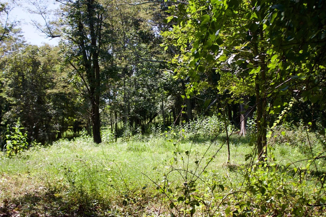 Heritage Hollow Tract 17 photo 17