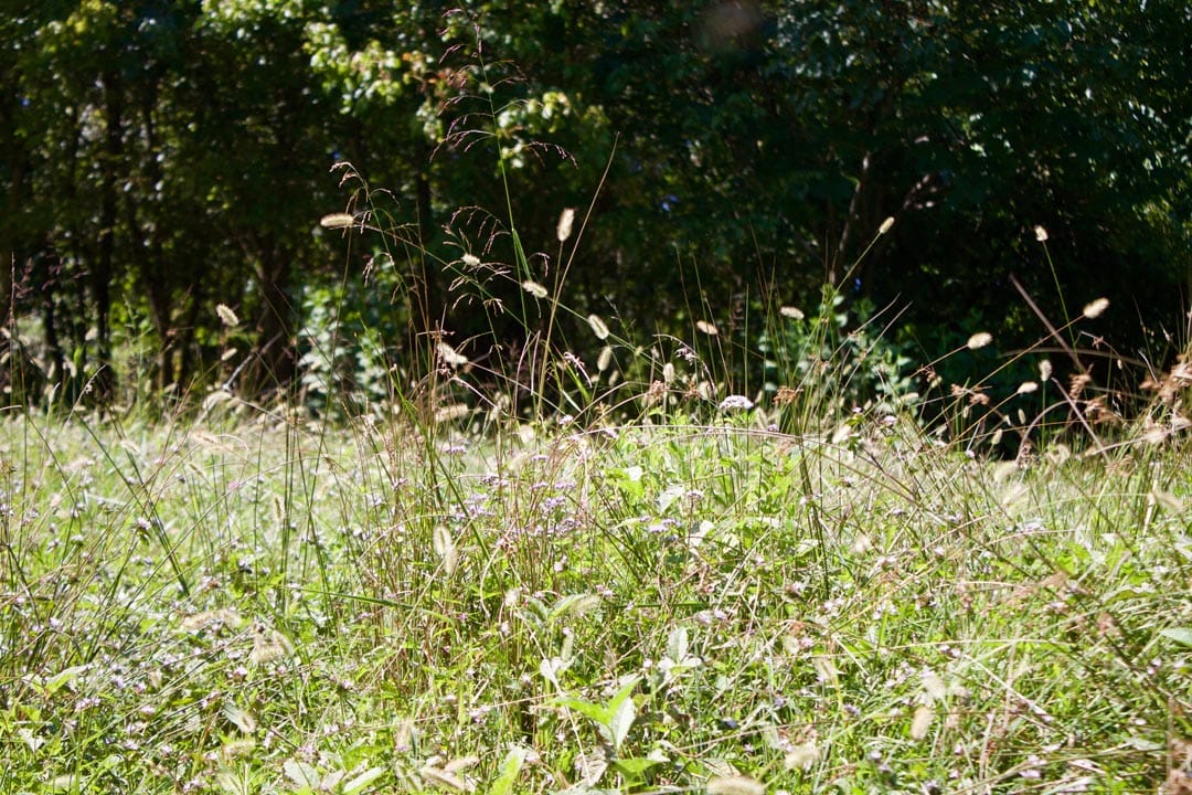 Heritage Hollow Tract 17 photo 19