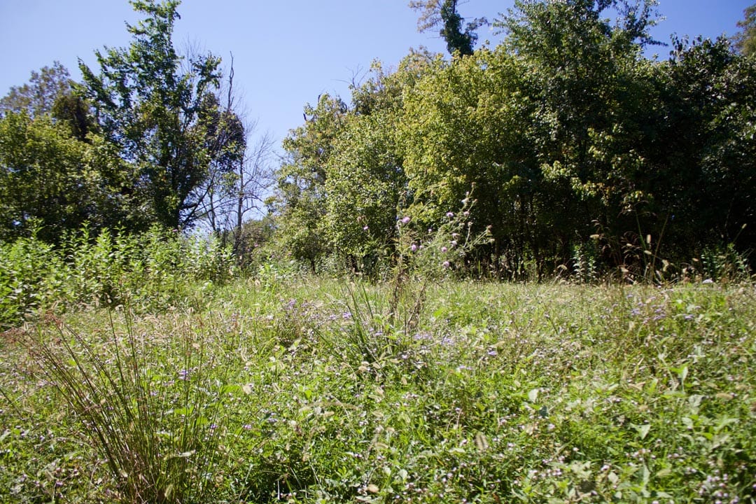 Heritage Hollow Tract 17 photo 21