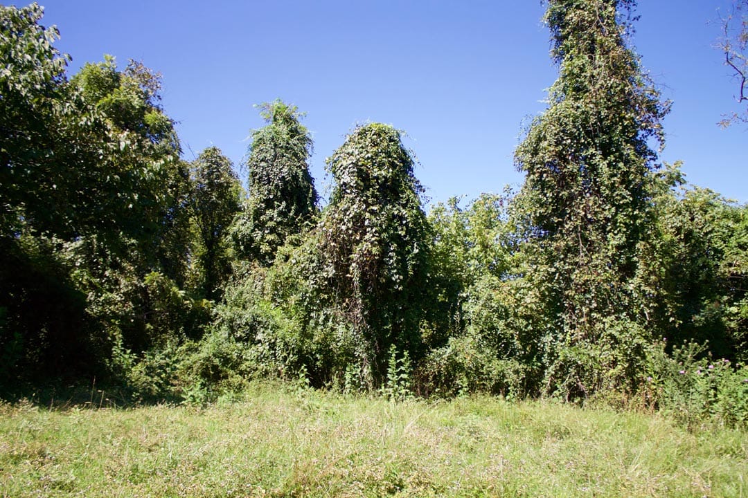 Heritage Hollow Tract 17 photo 22