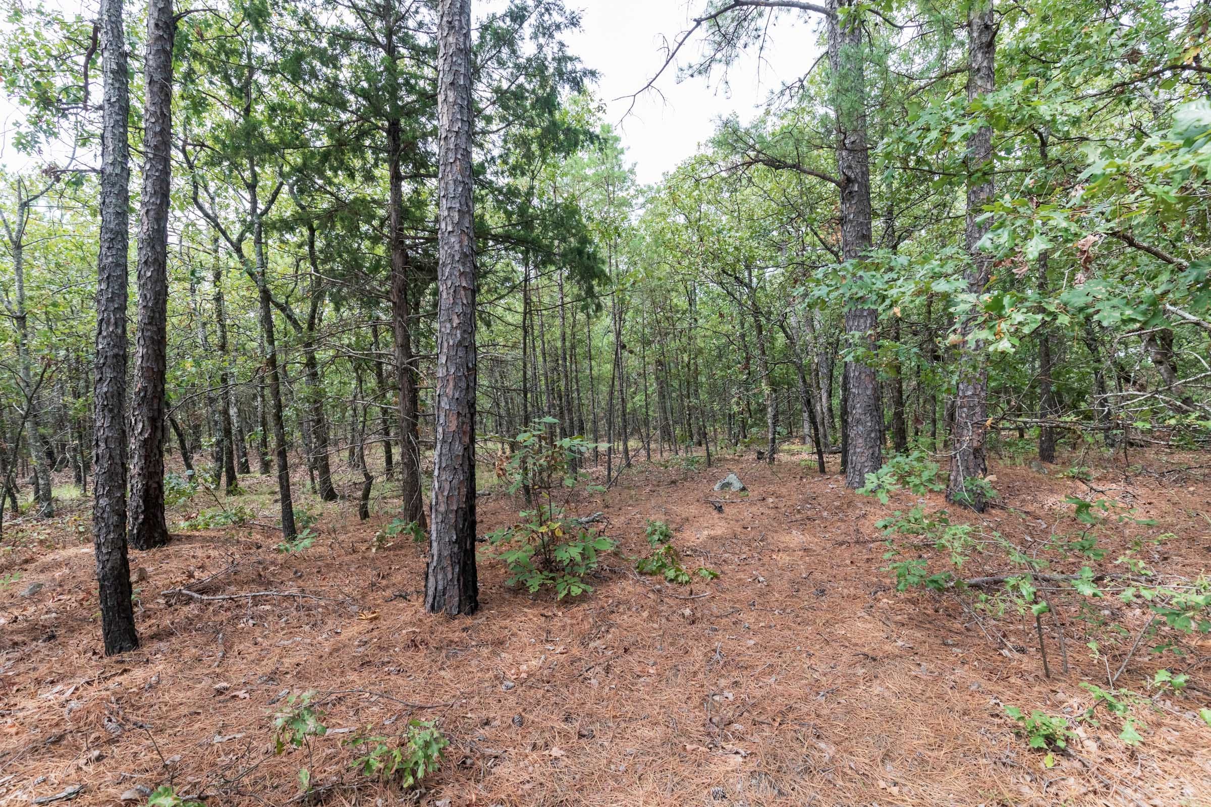 Stone Bridge Phase V Tract 385 photo 1