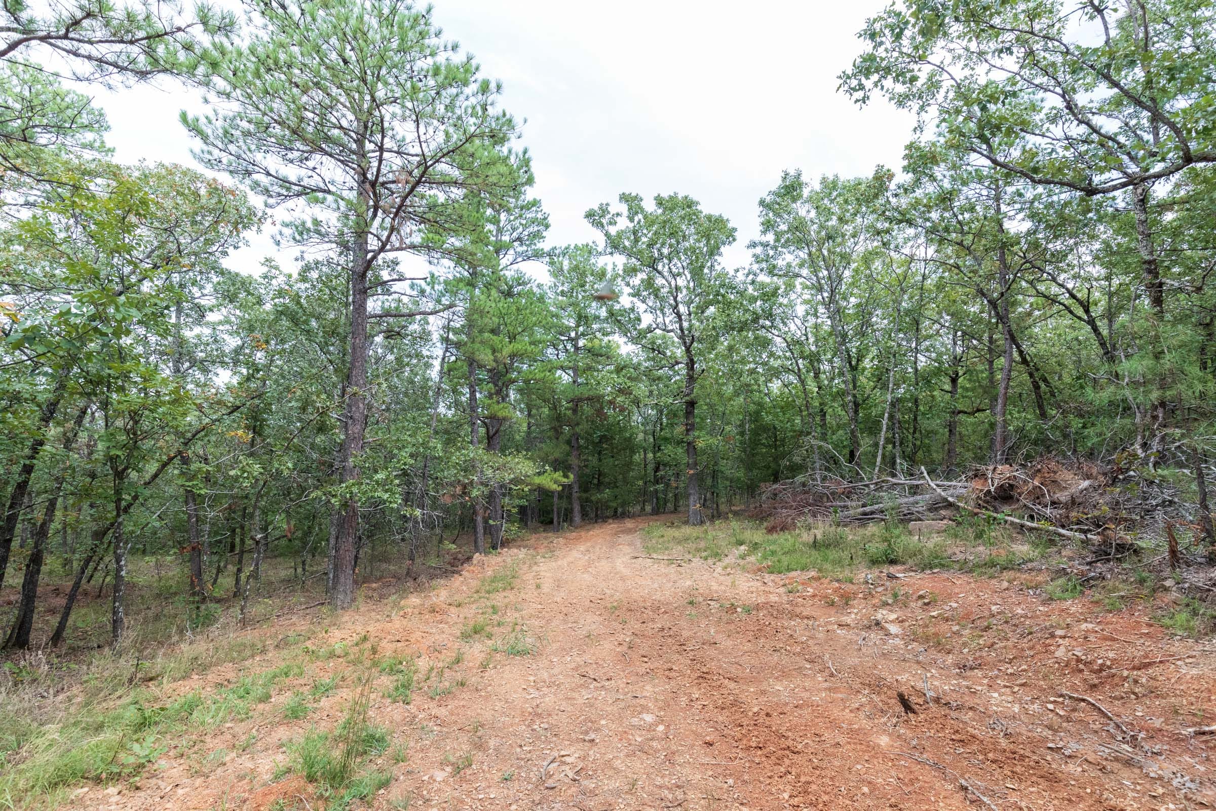 Stone Bridge Phase V Tract 385 photo 5