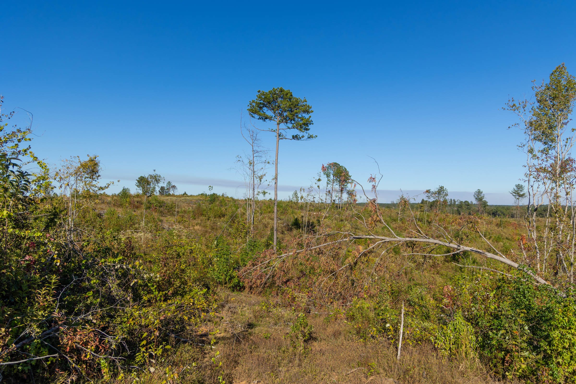 Meyer’s Ridge Tract 32 photo 14