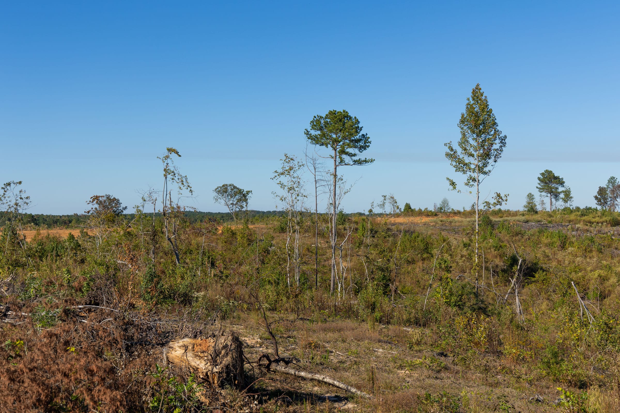 Meyer’s Ridge Tract 32 photo 13