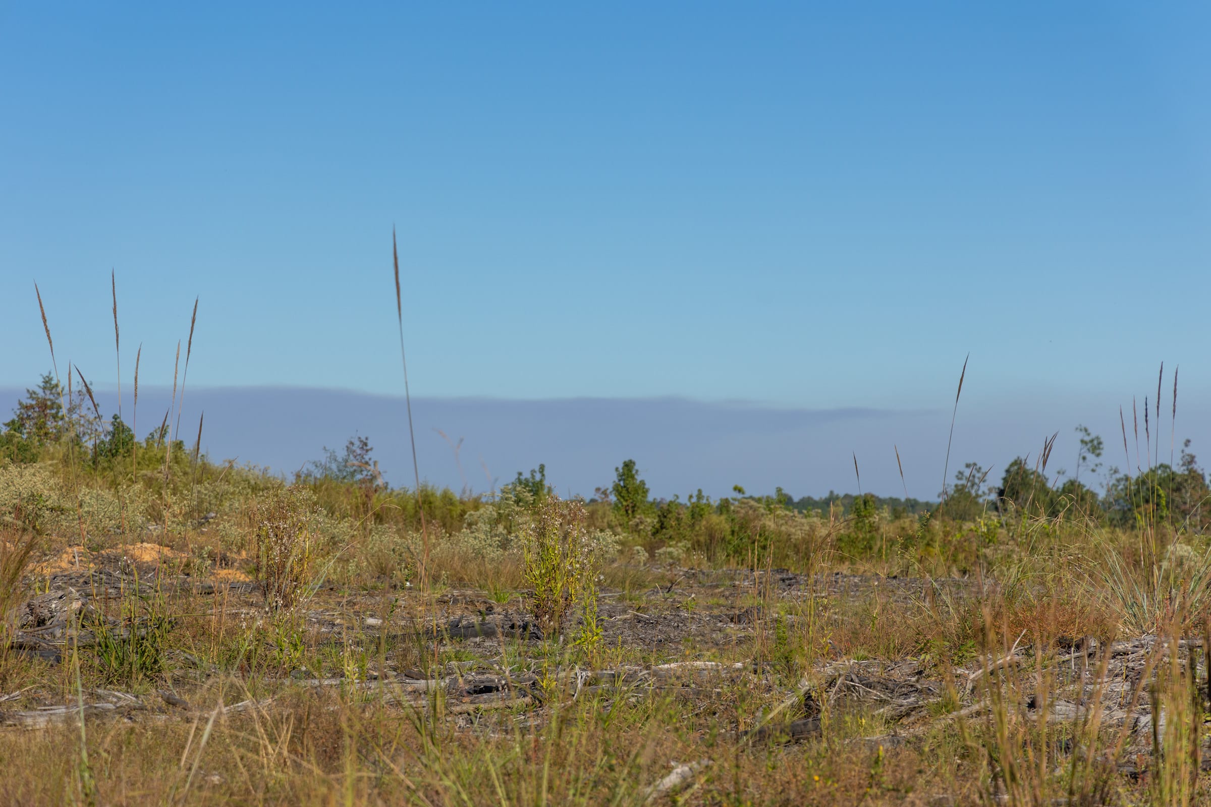 Meyer’s Ridge Tract 32 photo 9