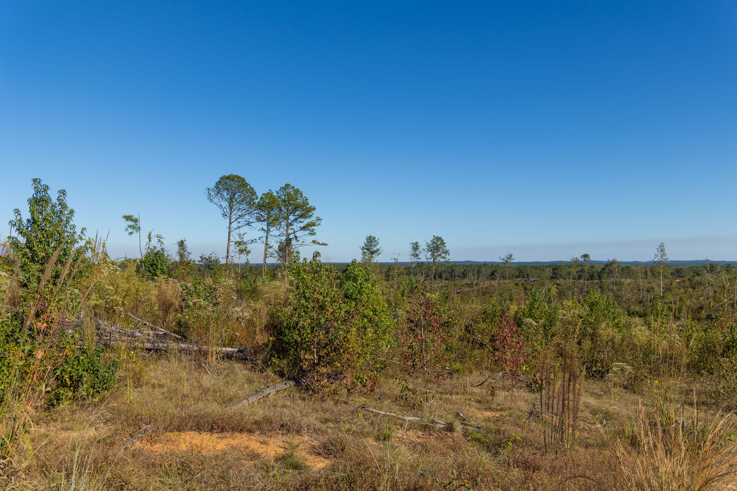 Meyer’s Ridge Tract 32 photo 8