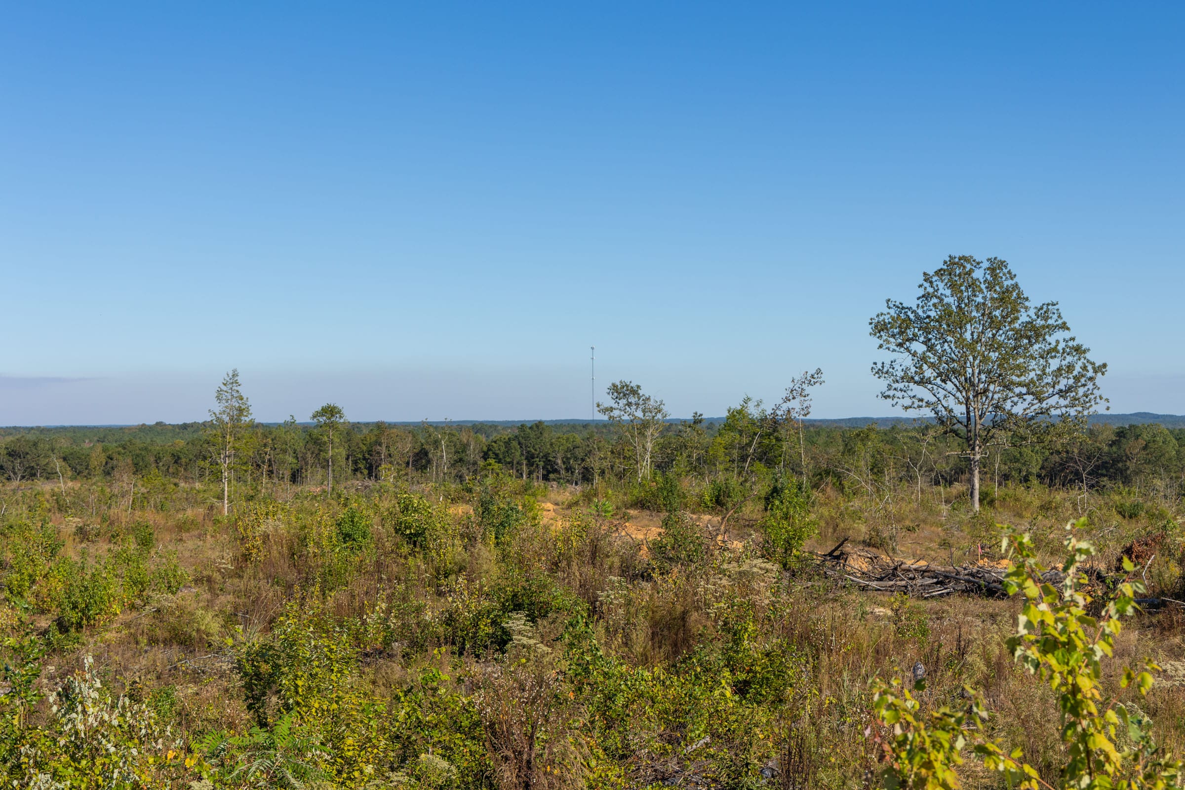 Meyer’s Ridge Tract 32 photo 5