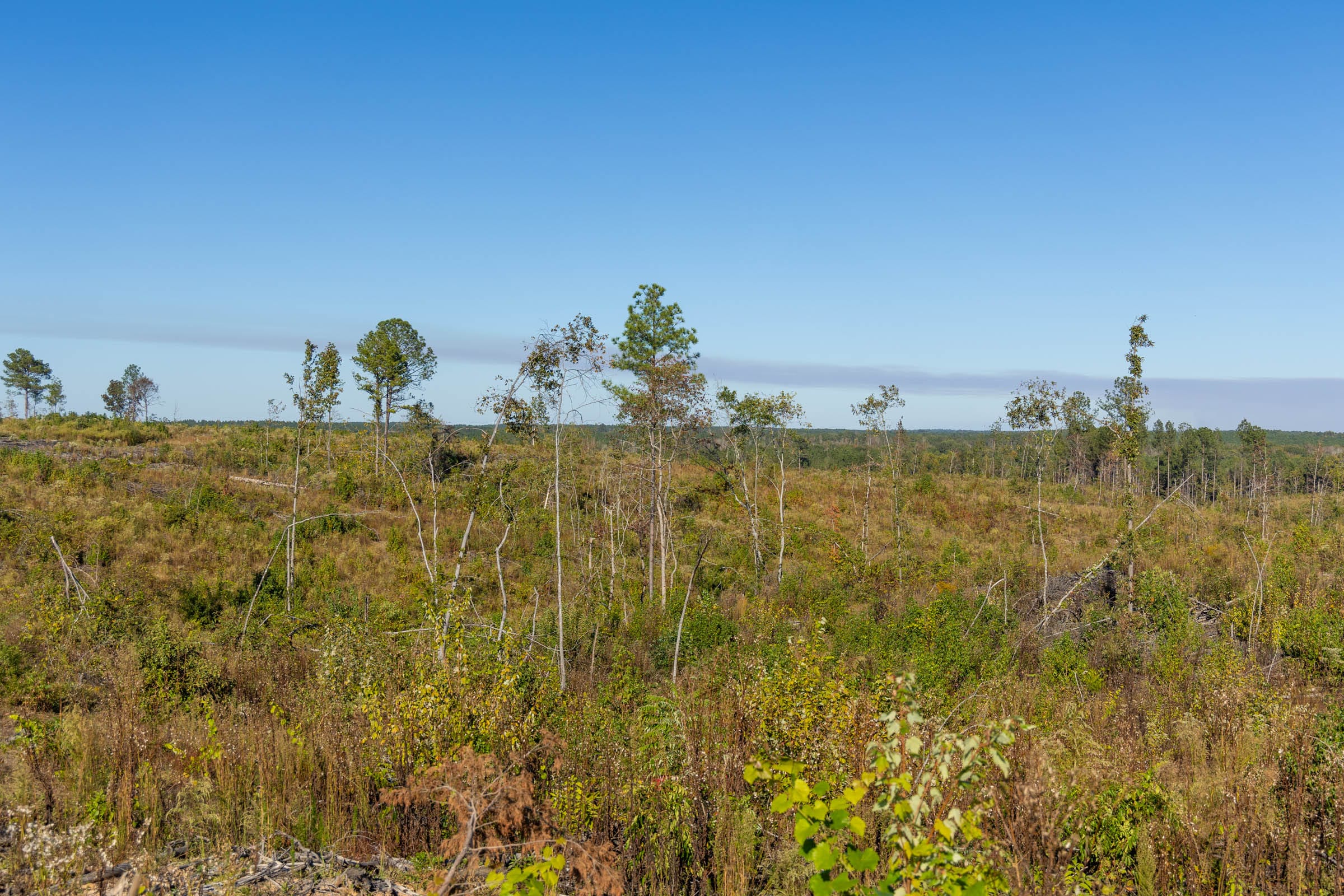 Meyer’s Ridge Tract 32 photo 4
