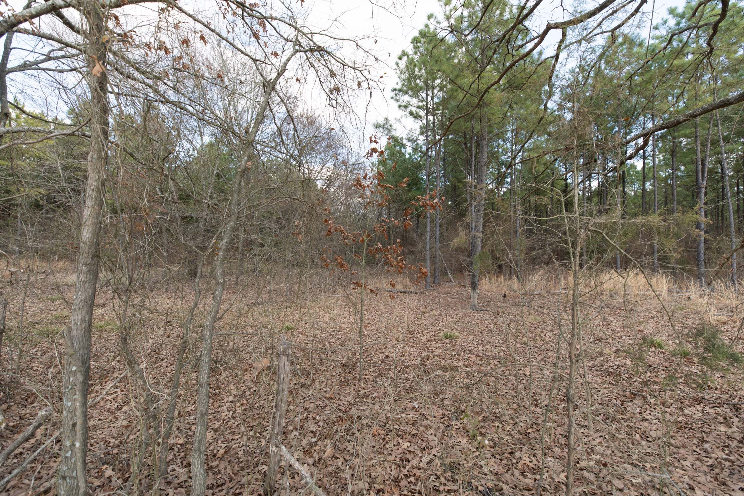Wishing Star Ranch Tract 41 photo 2